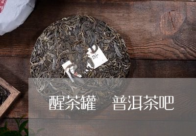 醒茶罐 普洱茶吧/2023041078471